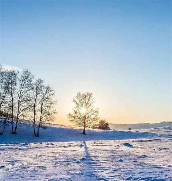 九吉公|享受冬季的温暖生活 第1张图片 